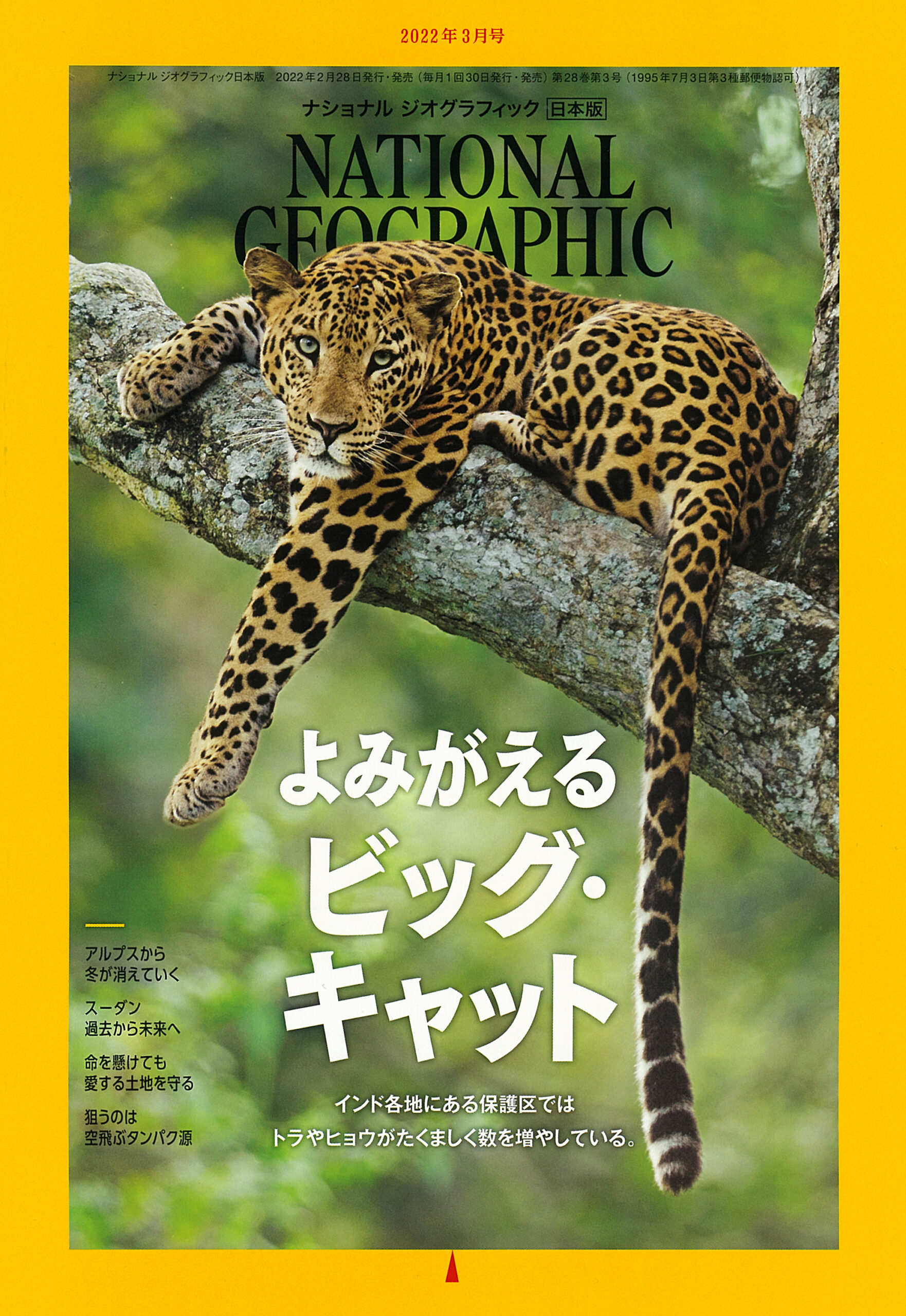 NATIONAL GEOGRAPHIC 日本版 2022年3月号 | フォーナインズ 公式ウェブ